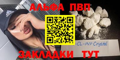 крисы Новокубанск