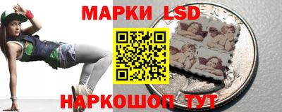 крисы Новокубанск