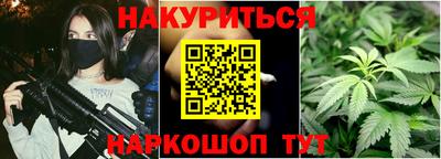 крисы Новокубанск