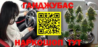 Альфа ПВП Новозыбков