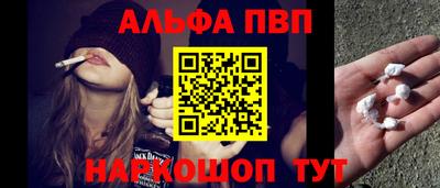крисы Новокубанск